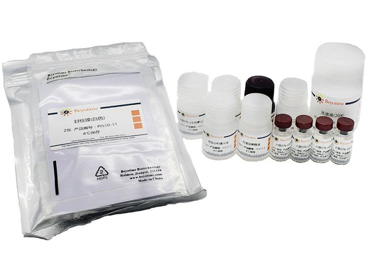 Rat IFN-γ ELISA Kit